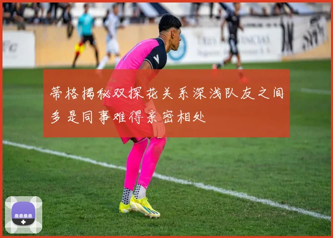 蒂格揭秘双探花关系深浅队友之间多是同事难得亲密相处